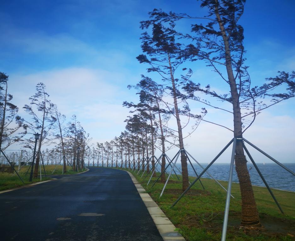 【分享】太湖晨景